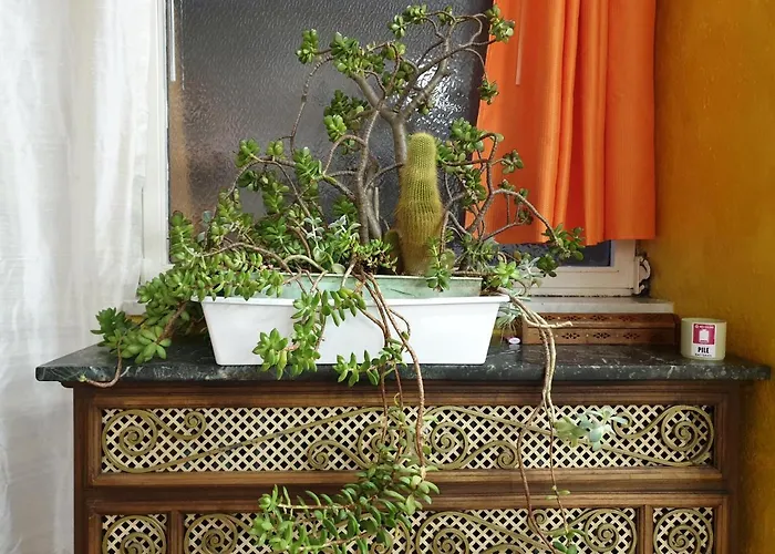 Laya Valentina * Turin