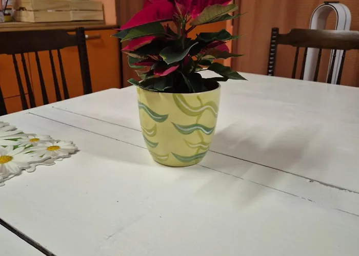 Appartement Laya Valentina